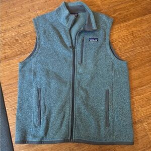 Mens Blue Patagonia Vest